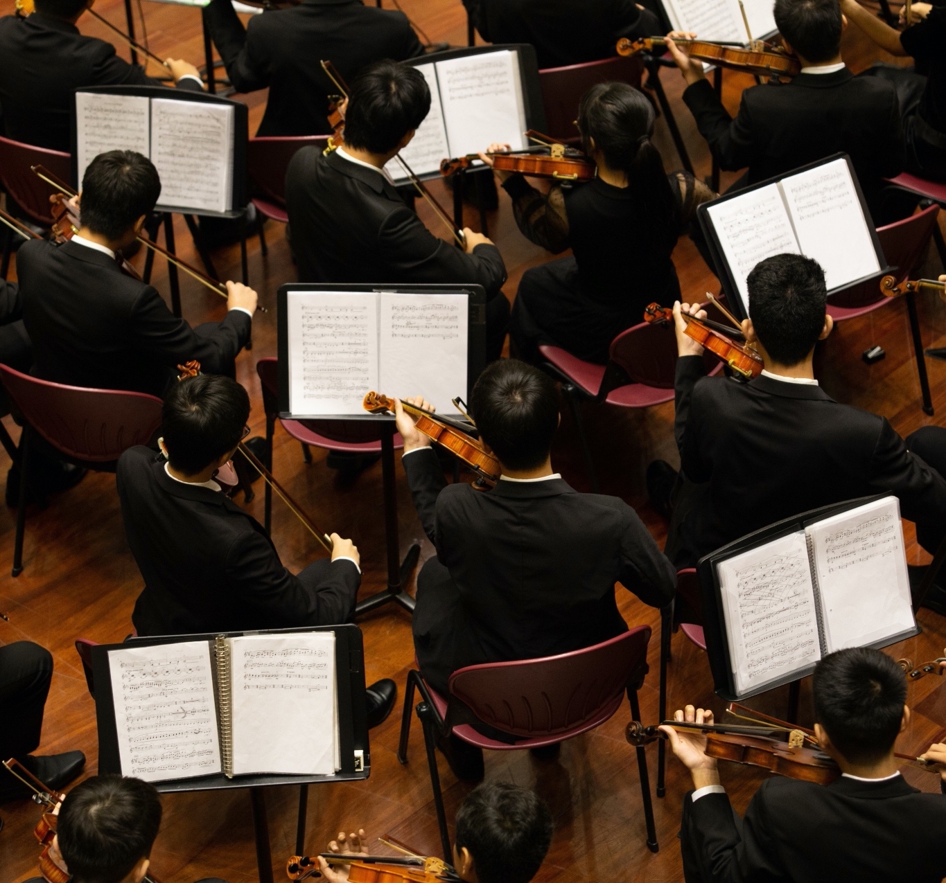 En un concierto