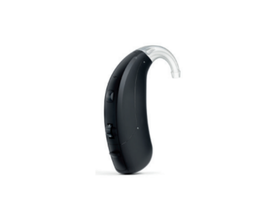Danavox Logar 290